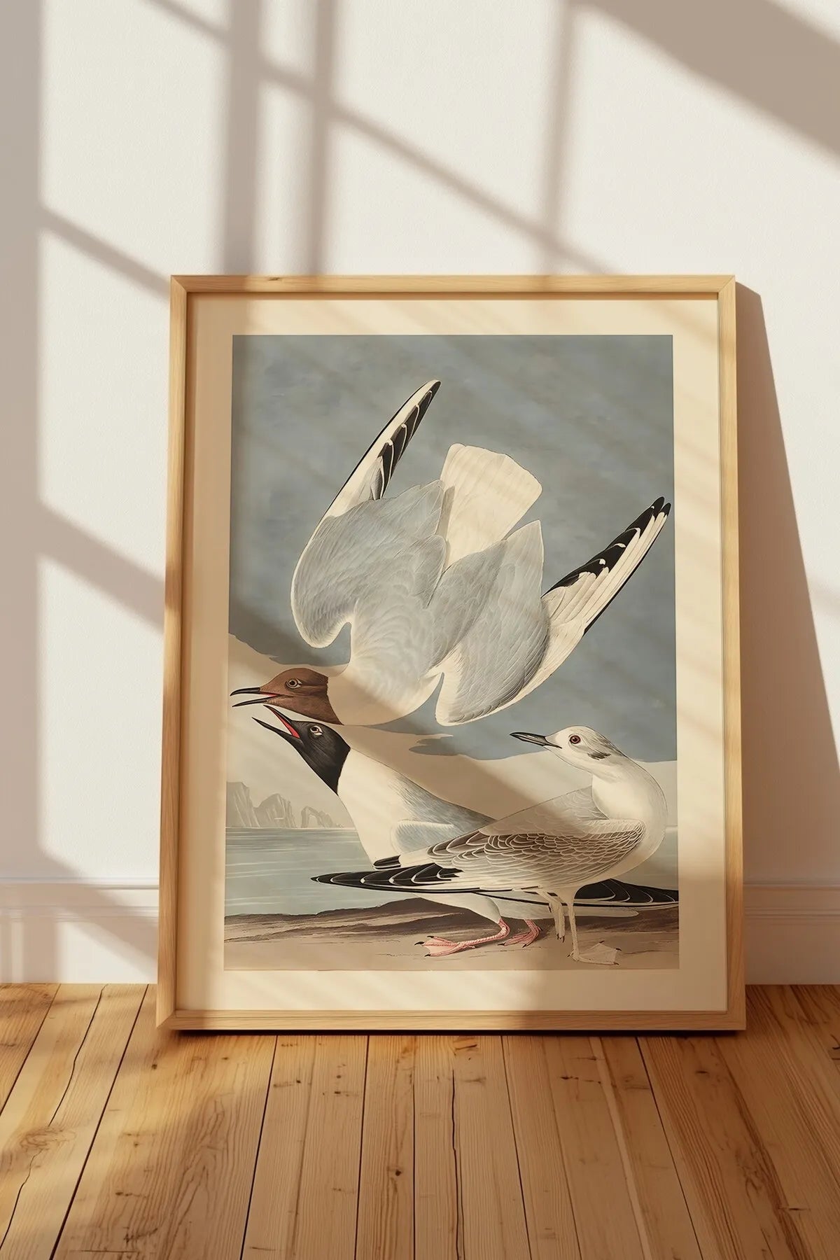 Bonapartian Gull Vintage Tarzda Estetik Hayvan Tablosu
